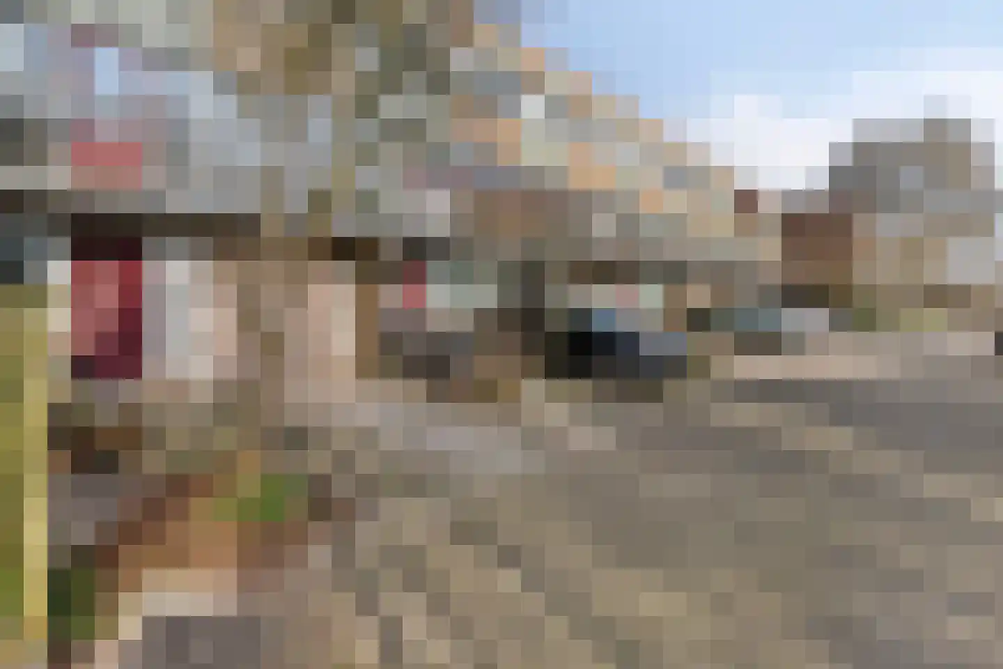 Aan de Kant 70 Uithoorn thumbnail 8