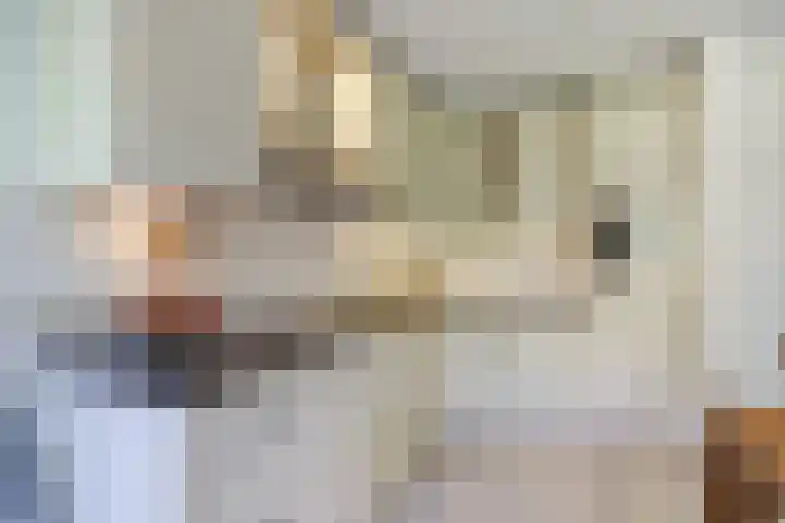 Aan de Kremmer 15 Meijel thumbnail 14