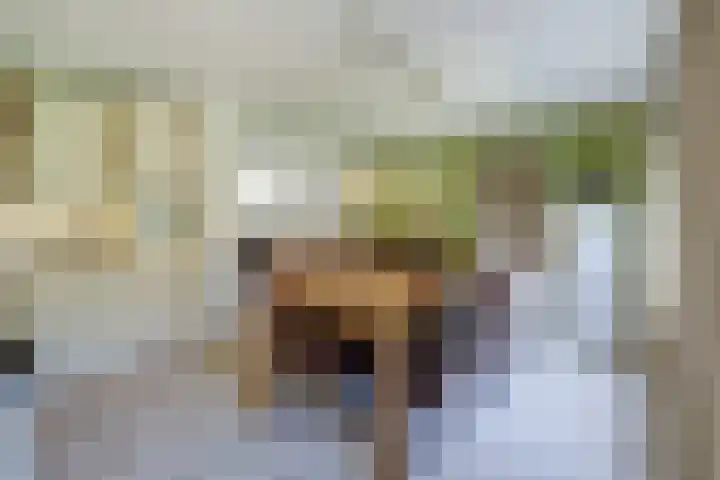 Aan de Kremmer 15 Meijel thumbnail 16
