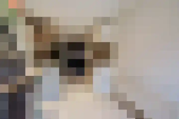 Aan de Kremmer 15 Meijel thumbnail 17