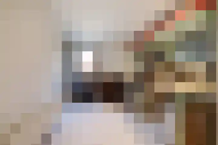 Aan de Kremmer 15 Meijel thumbnail 18