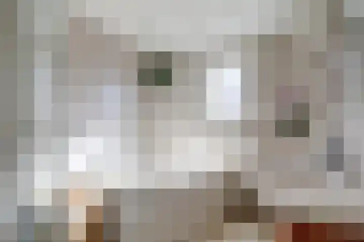 Aan de Kremmer 15 Meijel thumbnail 25