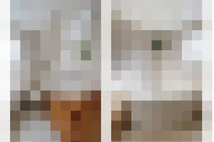 Aan de Kremmer 15 Meijel thumbnail 26