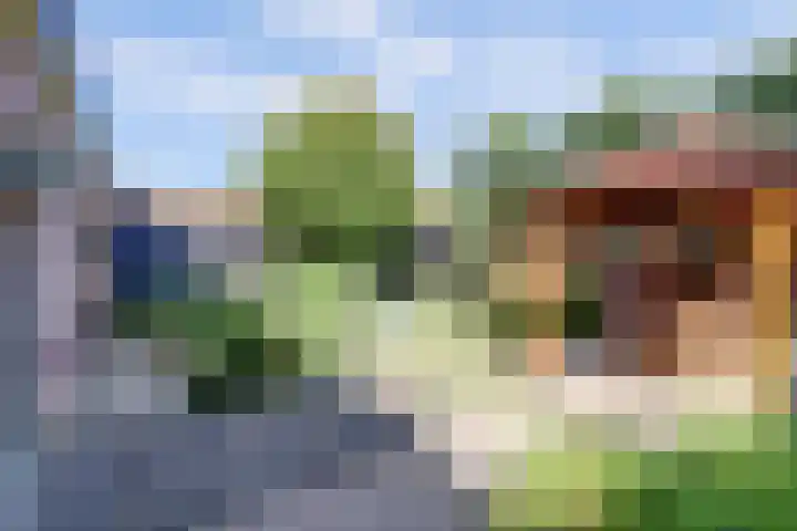 Aan de Kremmer 15 Meijel thumbnail 31