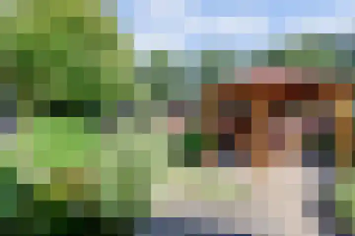 Aan de Kremmer 15 Meijel thumbnail 32
