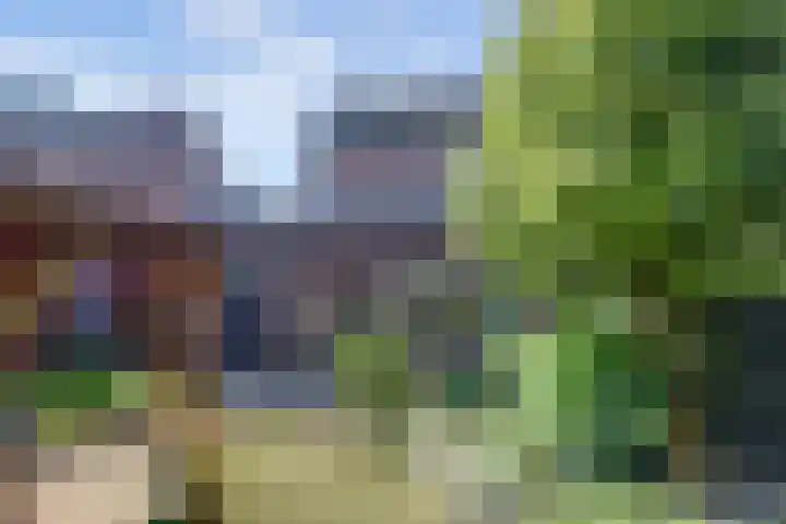 Aan de Kremmer 15 Meijel thumbnail 34
