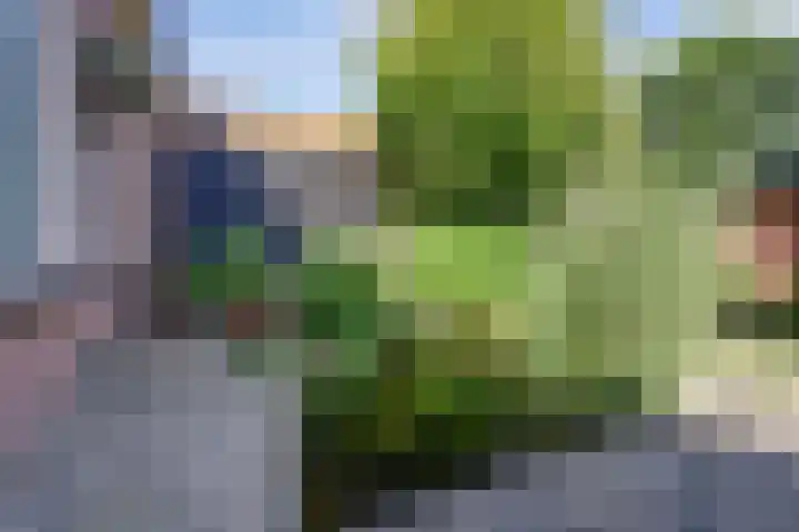 Aan de Kremmer 15 Meijel thumbnail 35
