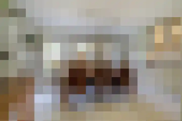 Aan de Kremmer 15 Meijel thumbnail 4