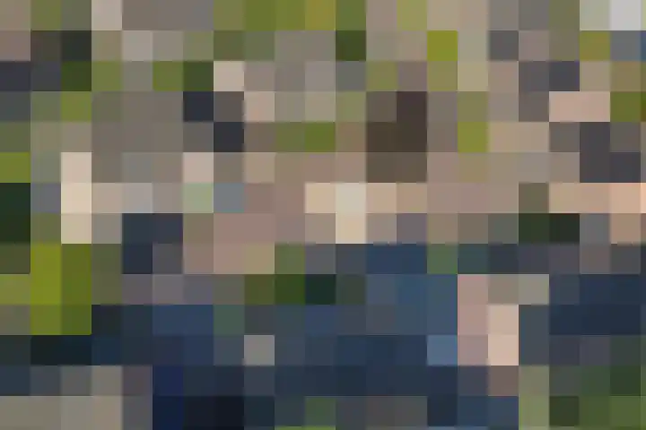 Aan de Kremmer 15 Meijel thumbnail 42