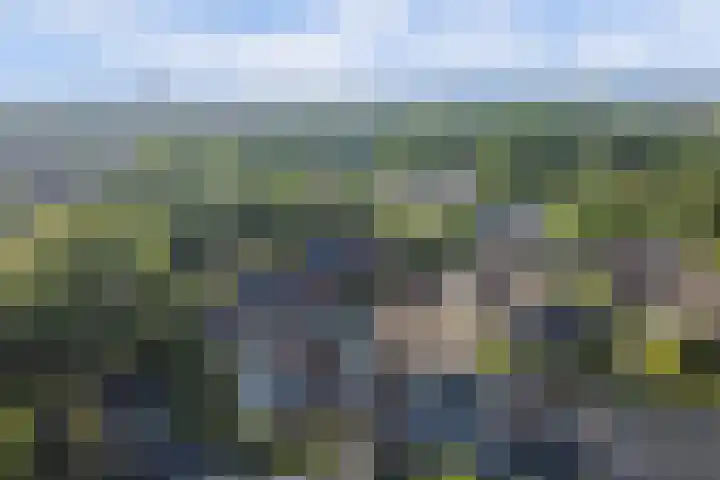 Aan de Kremmer 15 Meijel thumbnail 44