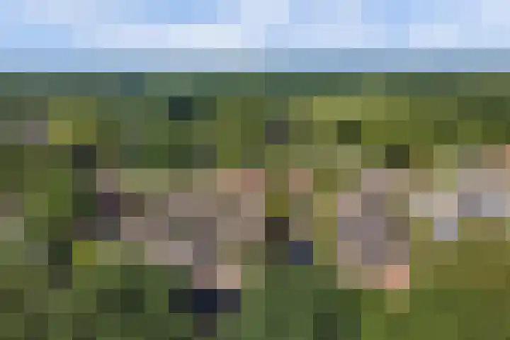 Aan de Kremmer 15 Meijel thumbnail 45