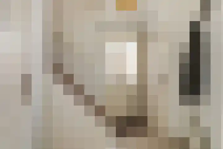 Aan de Kremmer 15 Meijel thumbnail 5