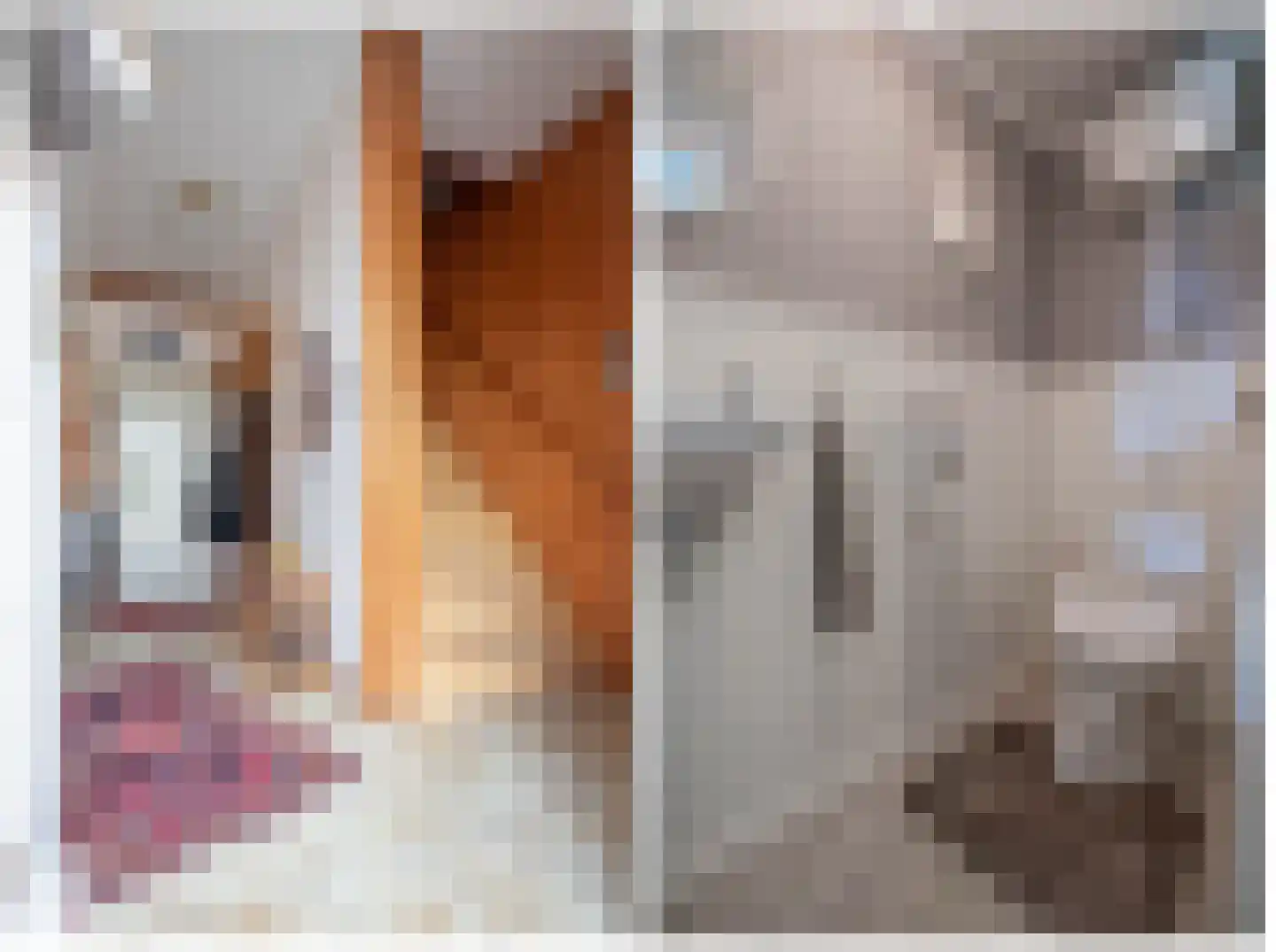 Aan de Kreppel 10 Heythuysen thumbnail 13