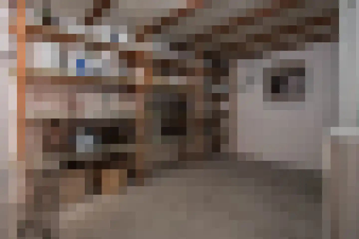 Aan de Kreppel 10 Heythuysen thumbnail 26