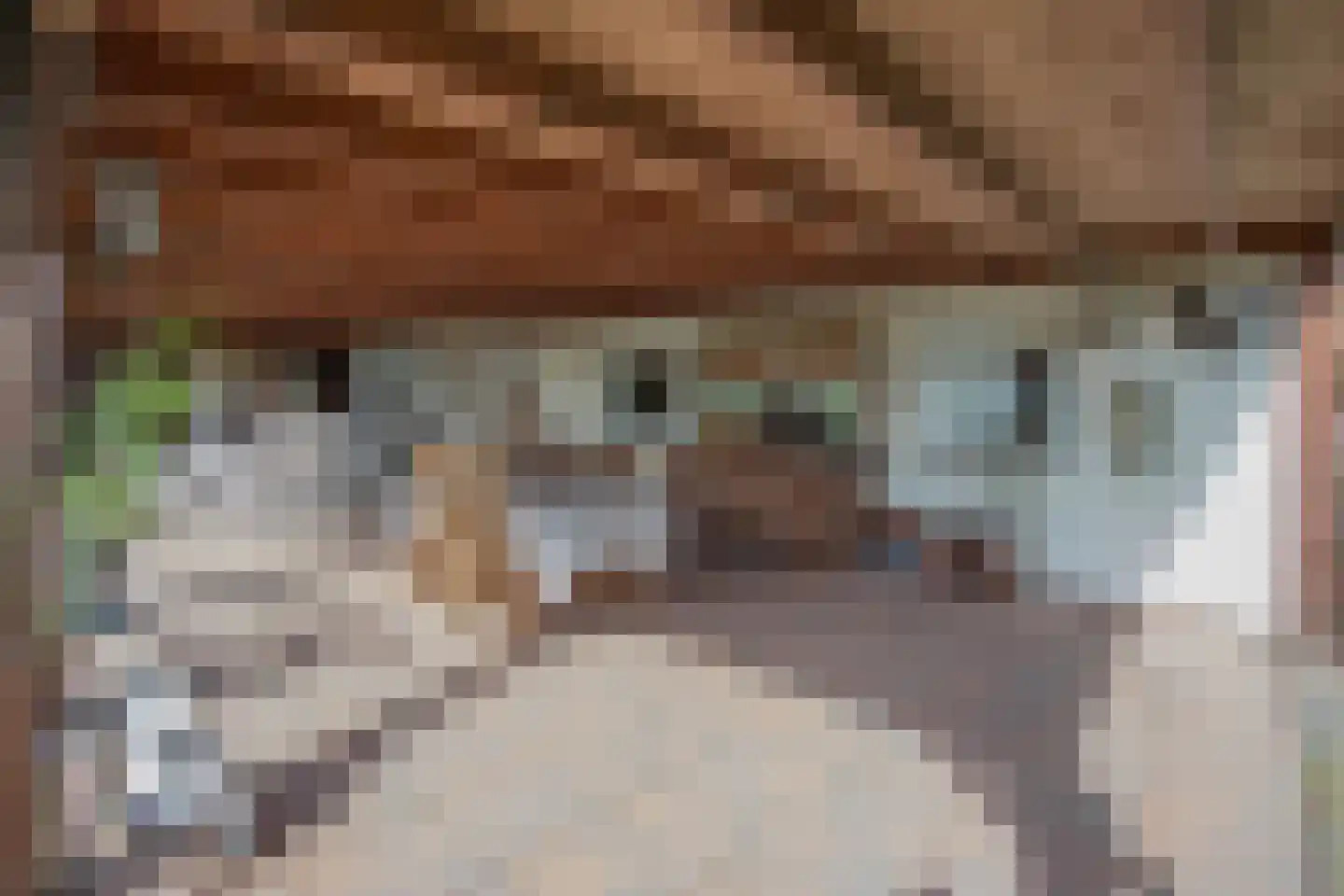Aan de Kreppel 10 Heythuysen thumbnail 31