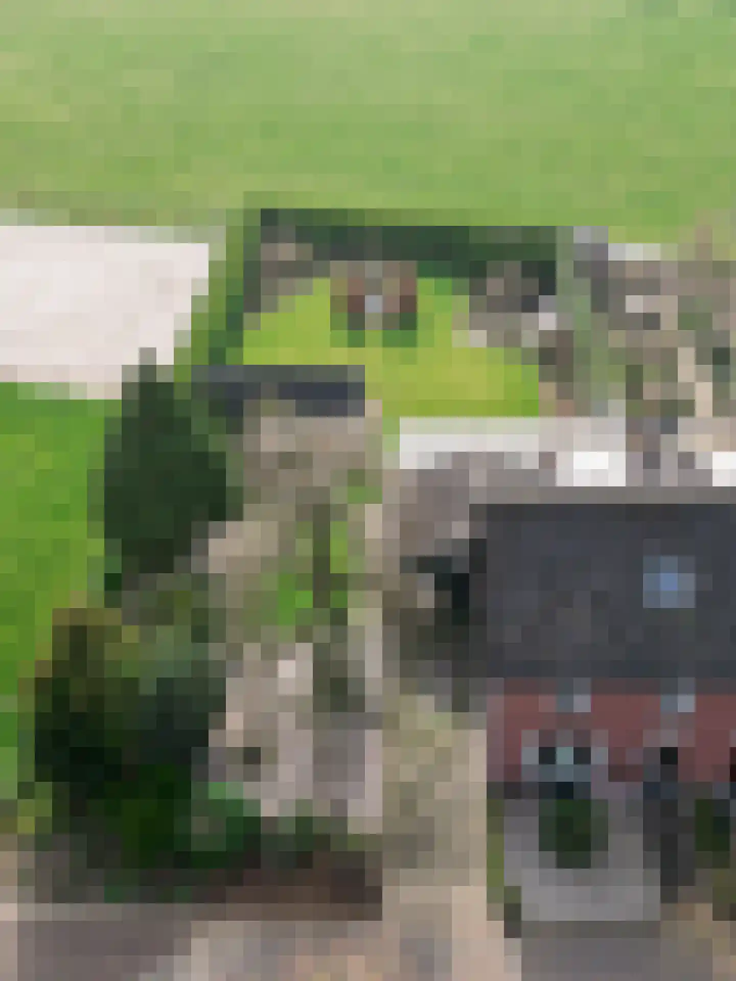 Aan de Kreppel 10 Heythuysen thumbnail 42