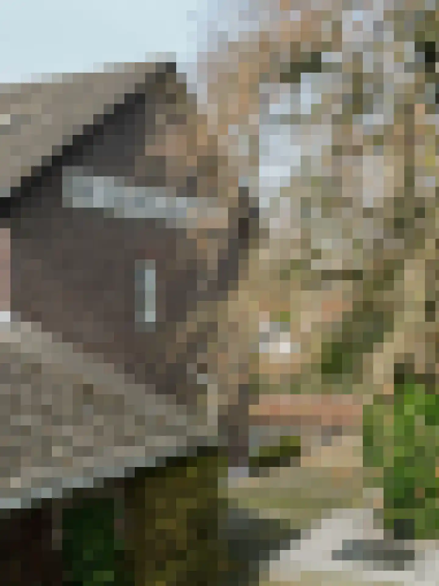 Aan de Kreppel 10 Heythuysen thumbnail 44