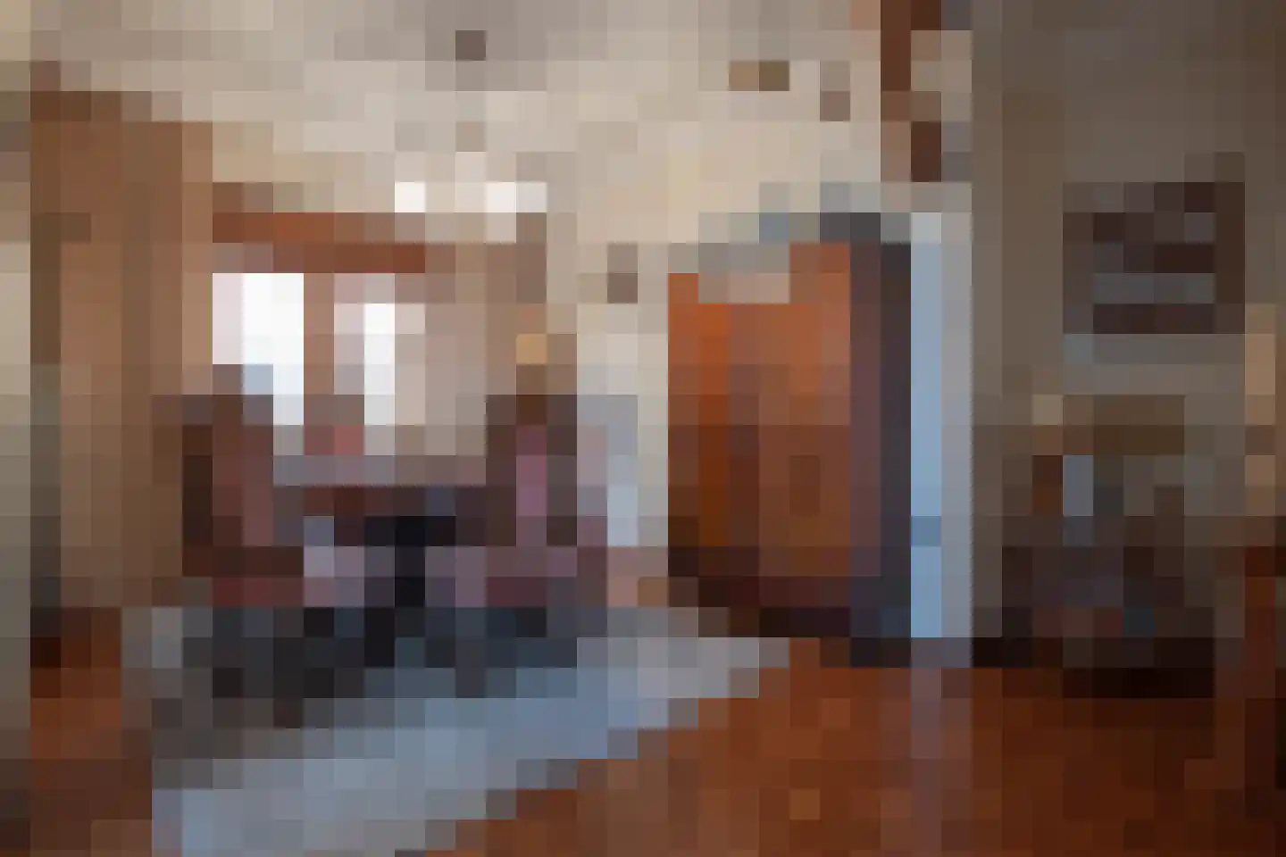 Aan de Kreppel 10 Heythuysen thumbnail 7