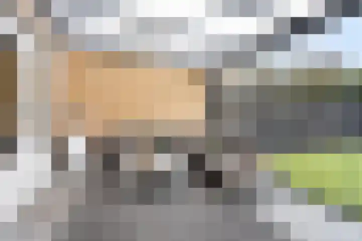Aan de Krombunder 4 Valkenburg thumbnail 23