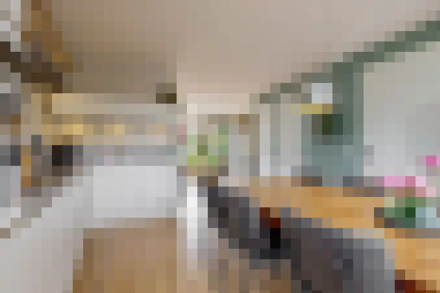 Aan de Kromme Sloot 111 Uitgeest thumbnail 9