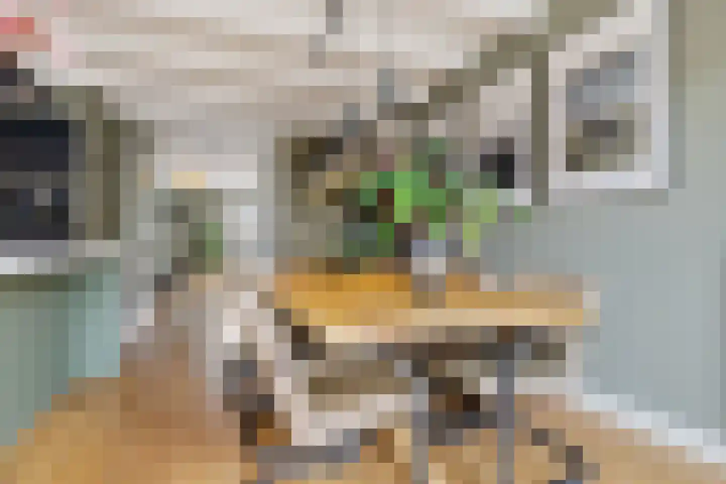 Aan de Kromme Sloot 4 Uitgeest thumbnail 16