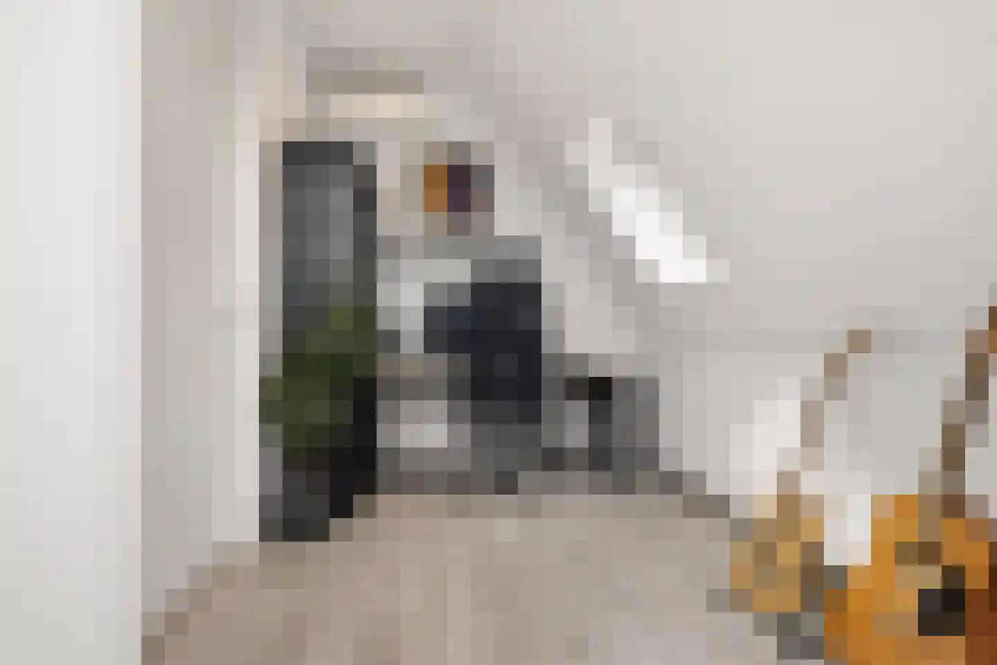 Aan de Kromme Sloot 4 Uitgeest thumbnail 41