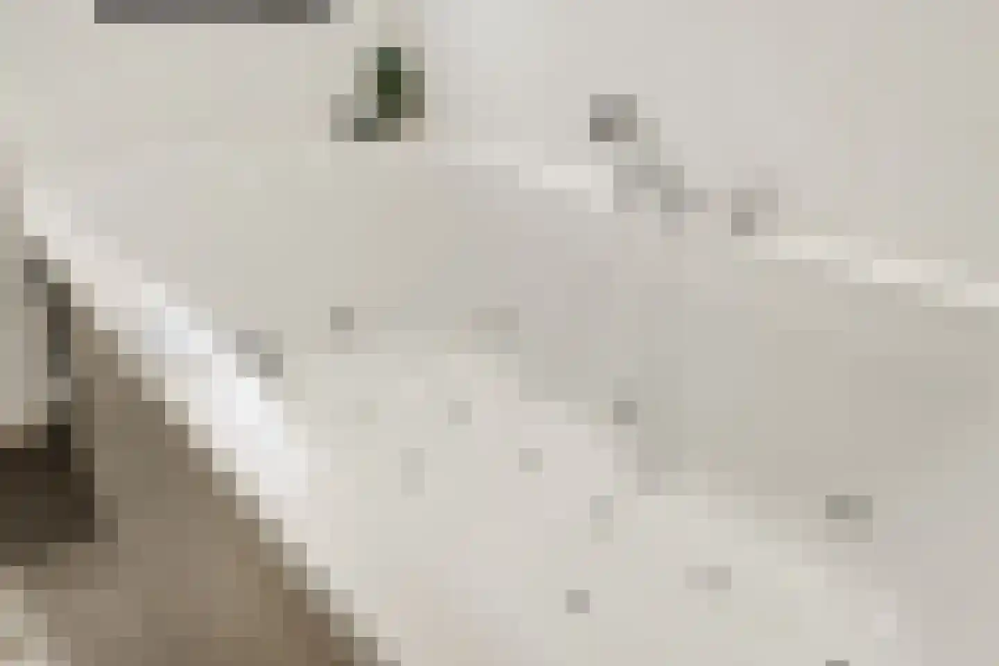 Aan de Kromme Sloot 4 Uitgeest thumbnail 43