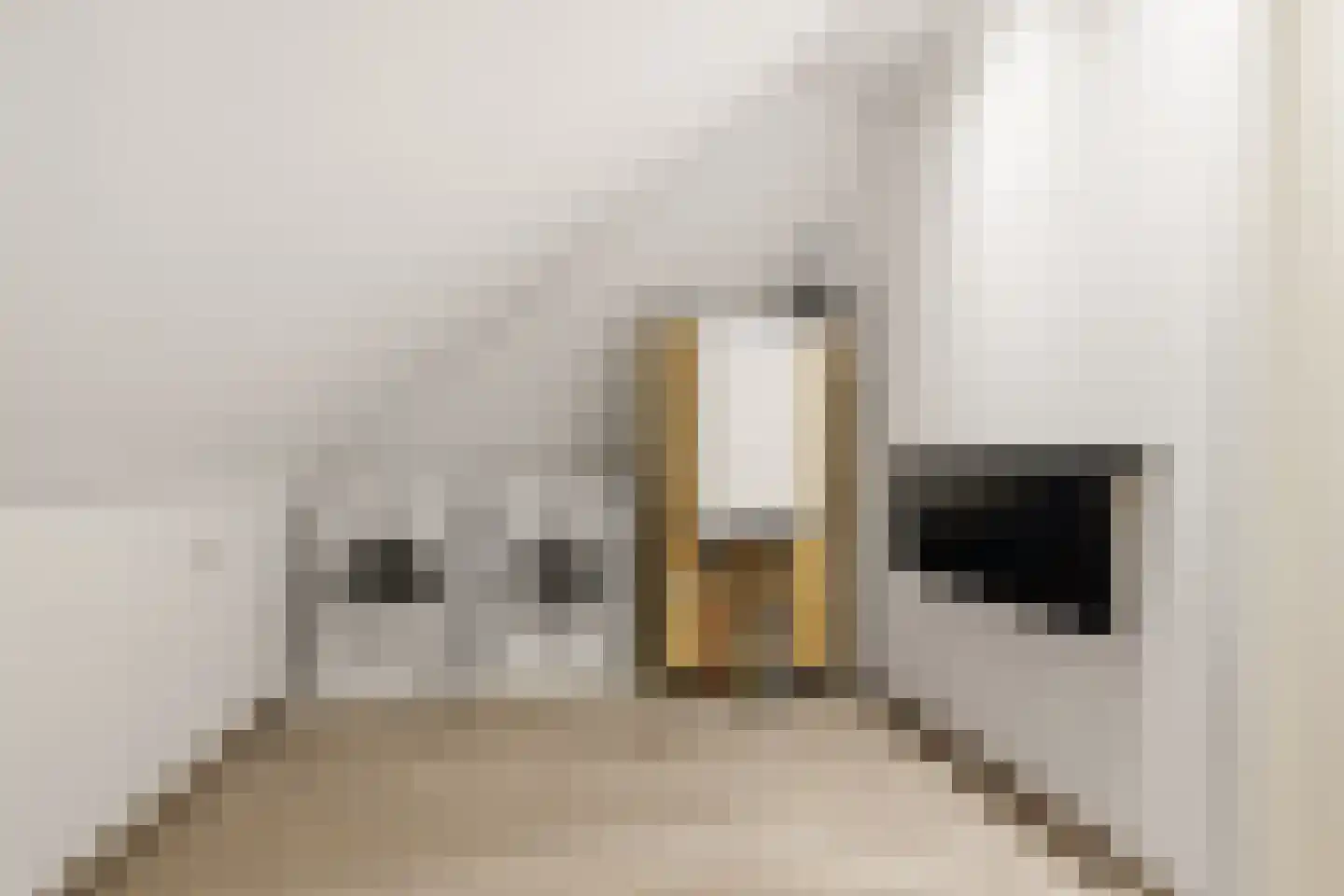 Aan de Kromme Sloot 4 Uitgeest thumbnail 47