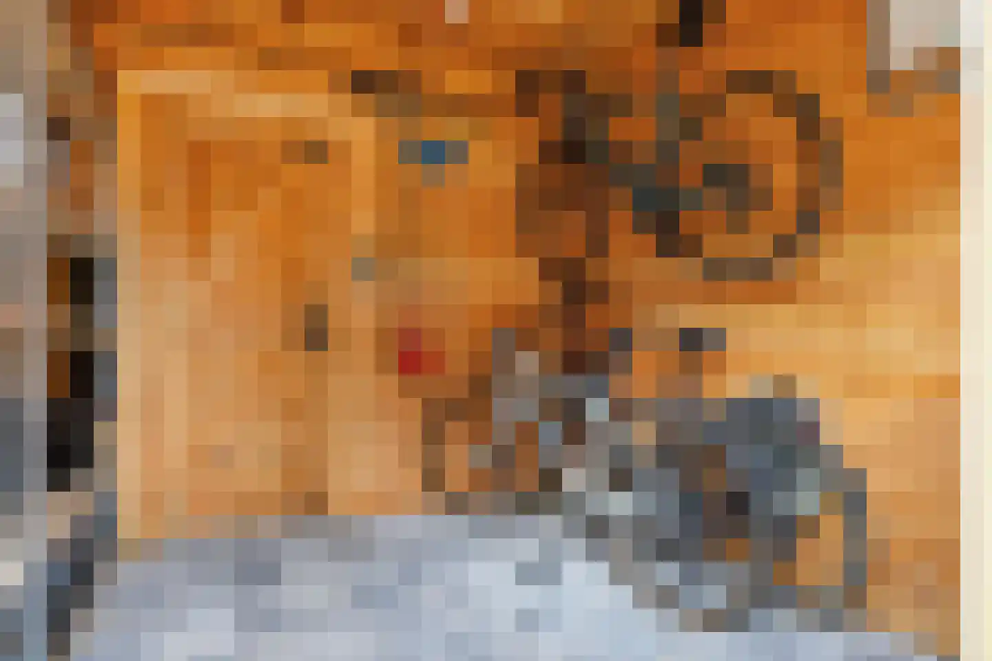 Aan de Kromme Sloot 4 Uitgeest thumbnail 49