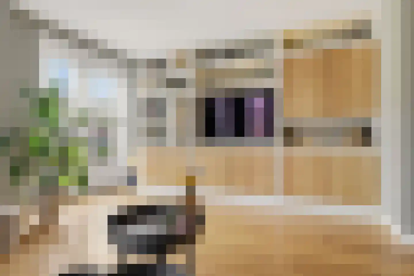 Aan de Kromme Sloot 4 Uitgeest thumbnail 5