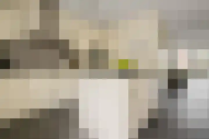 Aan de Kromme Sloot 48 Uitgeest thumbnail 10