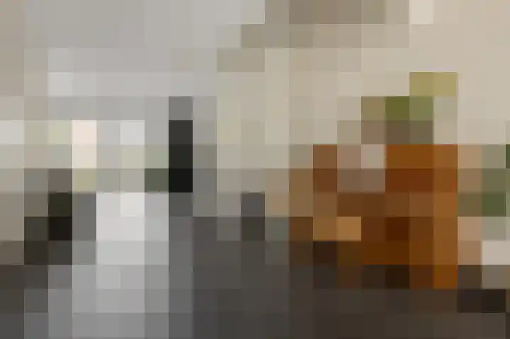 Aan de Kromme Sloot 48 Uitgeest thumbnail 11
