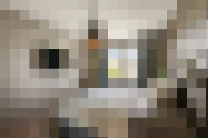 Aan de Kromme Sloot 48 Uitgeest thumbnail 23