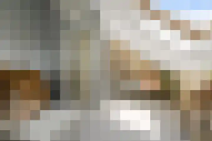 Aan de Kromme Sloot 48 Uitgeest thumbnail 27