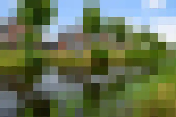 Aan de Kromme Sloot 48 Uitgeest foto 3