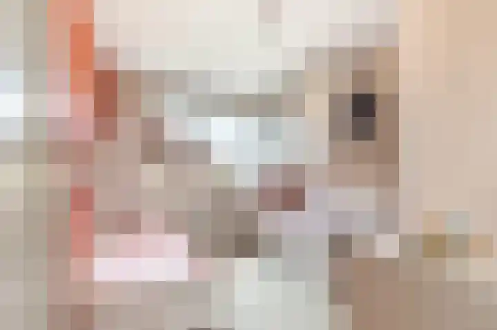 Aan de Kromme Sloot 54 Uitgeest thumbnail 25