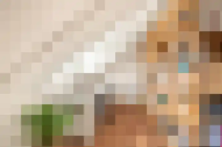 Aan de Kromme Sloot 54 Uitgeest thumbnail 33