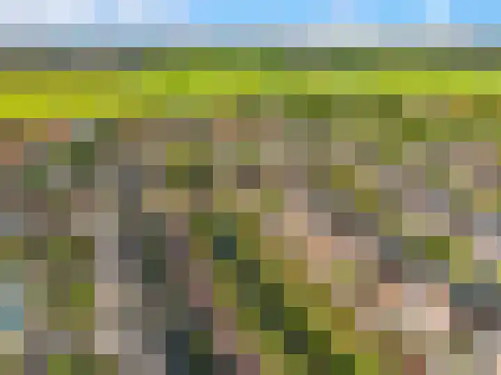 Aan de Kromme Sloot 54 Uitgeest thumbnail 41