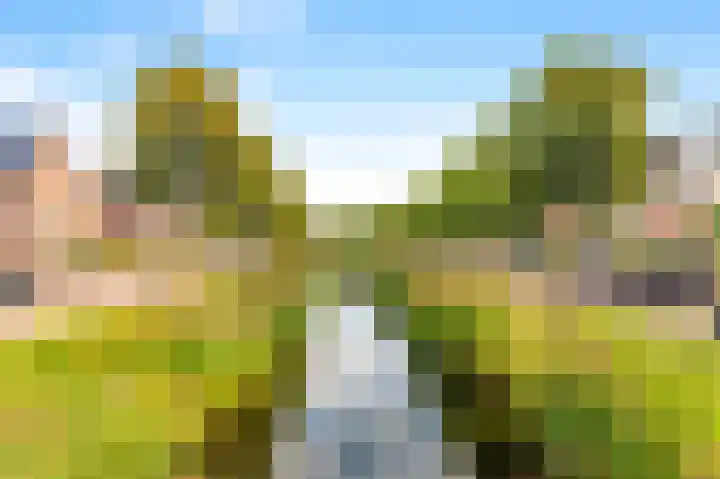 Aan de Kromme Sloot 54 Uitgeest thumbnail 42