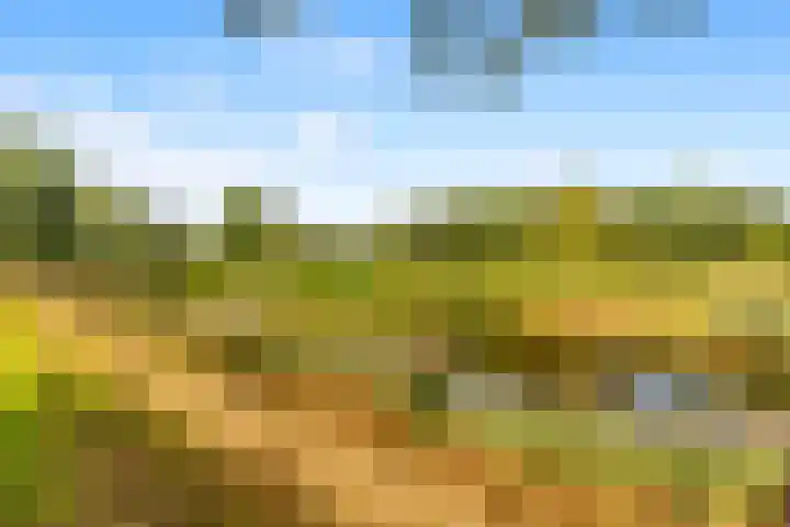 Aan de Kromme Sloot 54 Uitgeest thumbnail 43