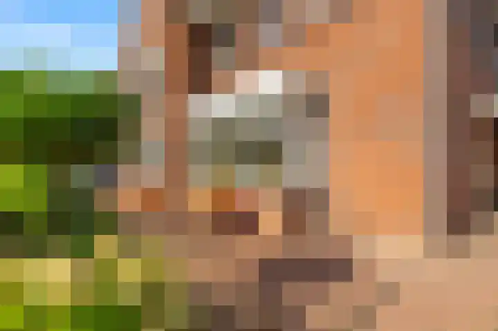 Aan de Kromme Sloot 54 Uitgeest thumbnail 5