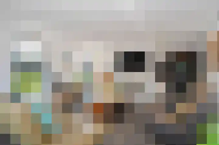 Aan de Laadhaven 2 Buchten thumbnail 17