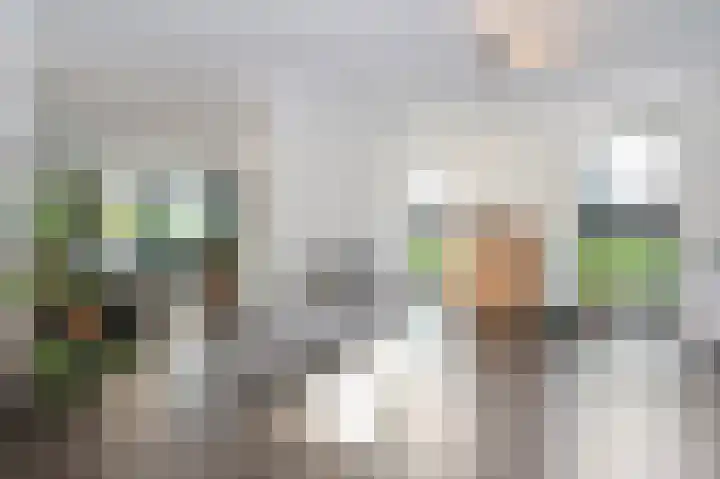 Aan de Laadhaven 2 Buchten thumbnail 19