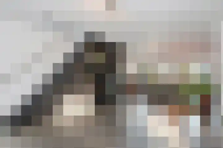 Aan de Laadhaven 2 Buchten thumbnail 21