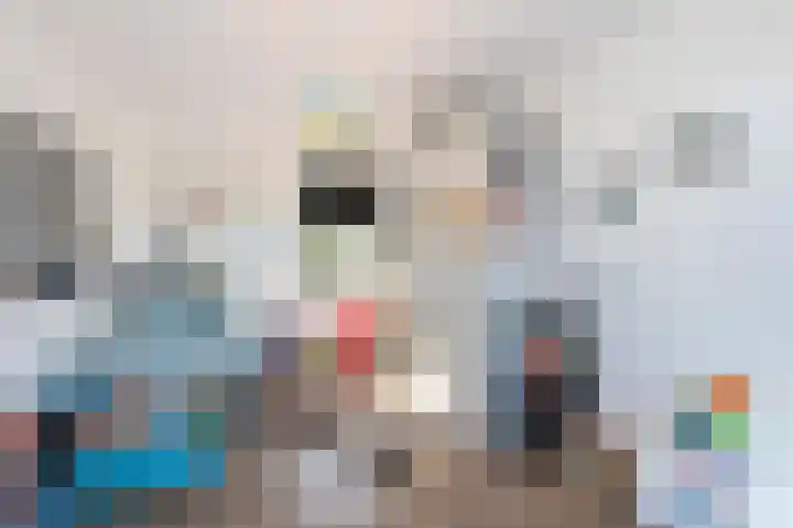 Aan de Laadhaven 2 Buchten thumbnail 40
