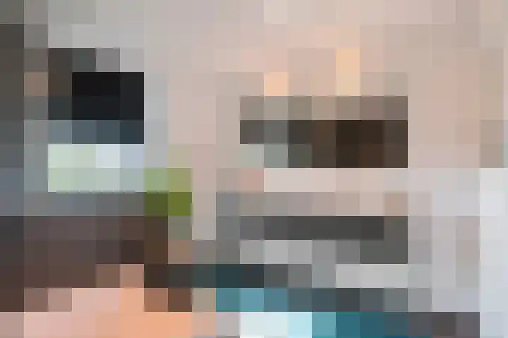 Aan de Laadhaven 2 Buchten thumbnail 42