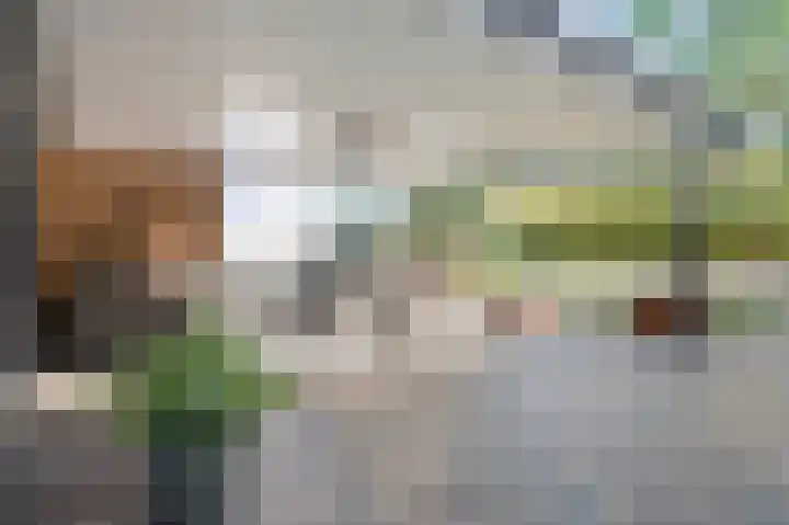 Aan de Laadhaven 2 Buchten thumbnail 58