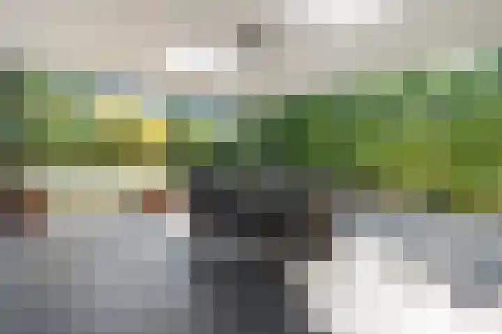 Aan de Laadhaven 2 Buchten thumbnail 59