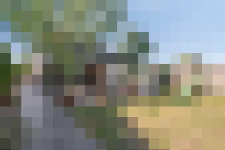 Aan de Laadhaven 2 Buchten thumbnail 62