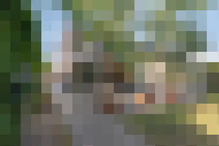 Aan de Laadhaven 2 Buchten thumbnail 63